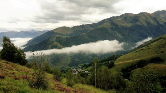 brume.jpg